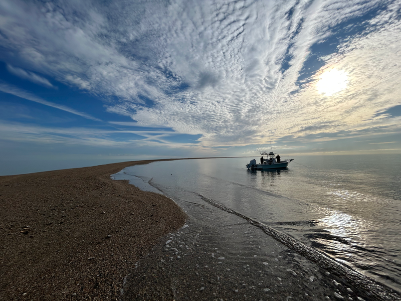 A description of my image.