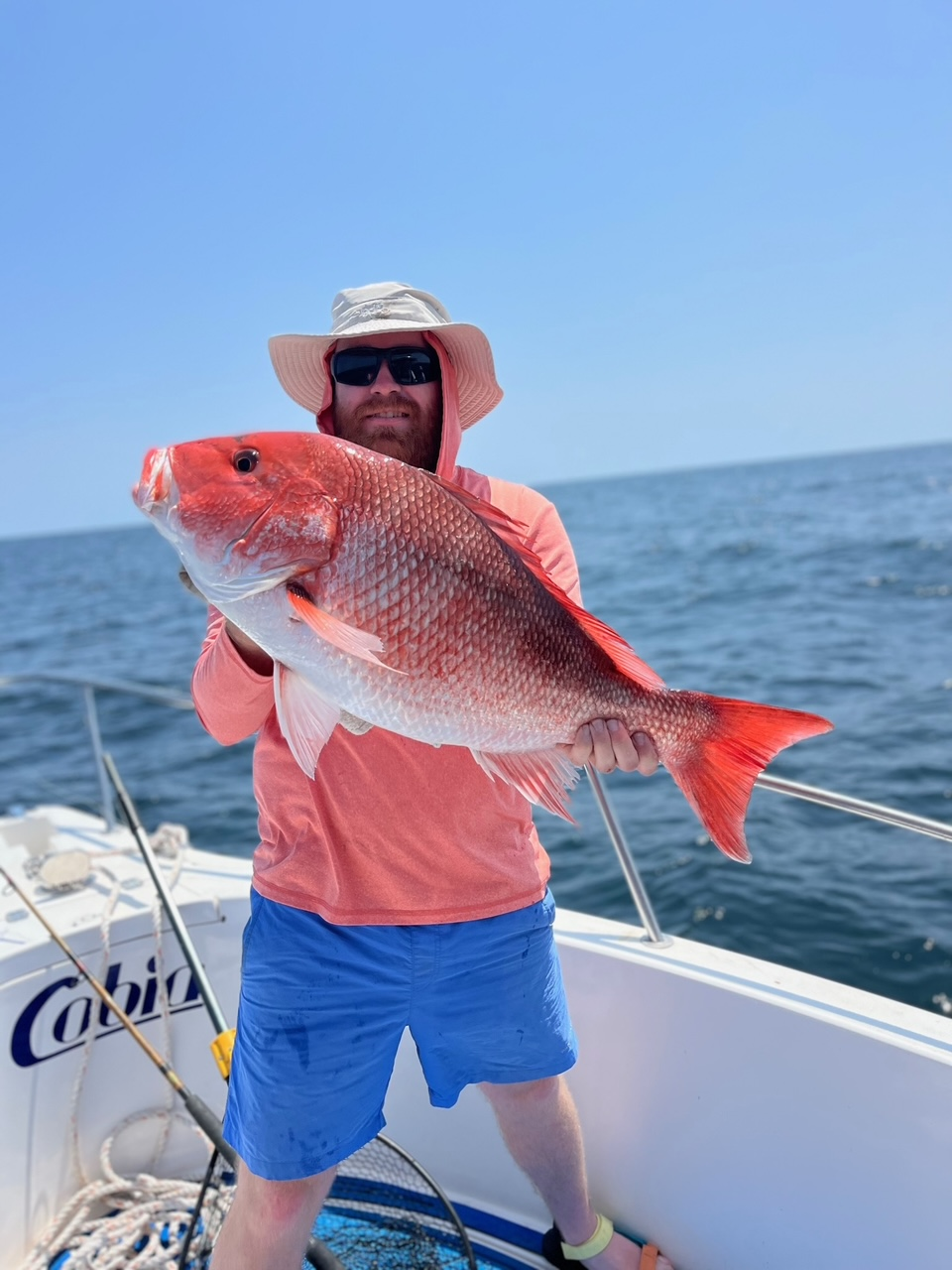 pexels-pixabay-262978