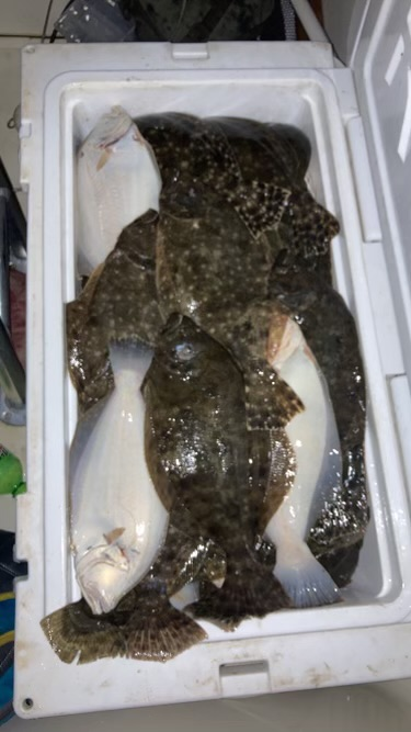 pexels-rachel-claire-5531424