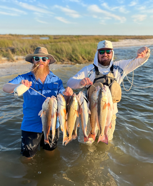 A description of my image.